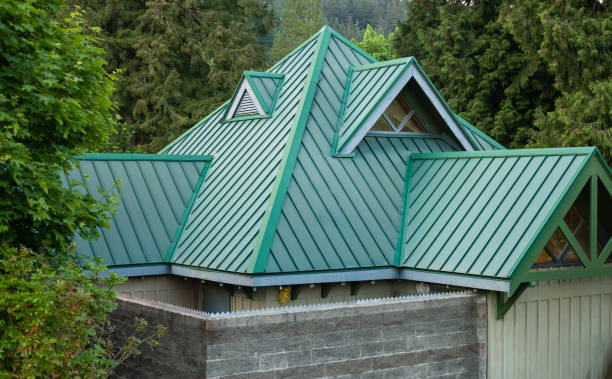 Professional Roofing Service  in Mount Morris, MI