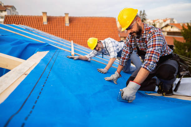 Best Chimney Flashing Repair  in Mount Morris, MI